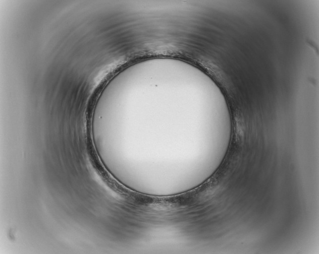 X0000102290630200808151954