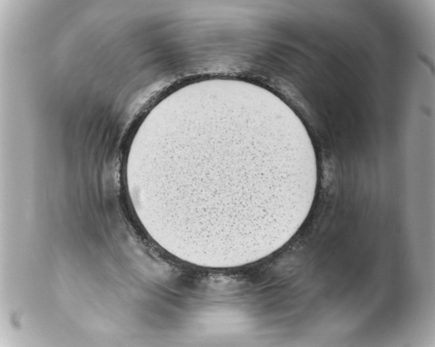 X0000102290632200808151954