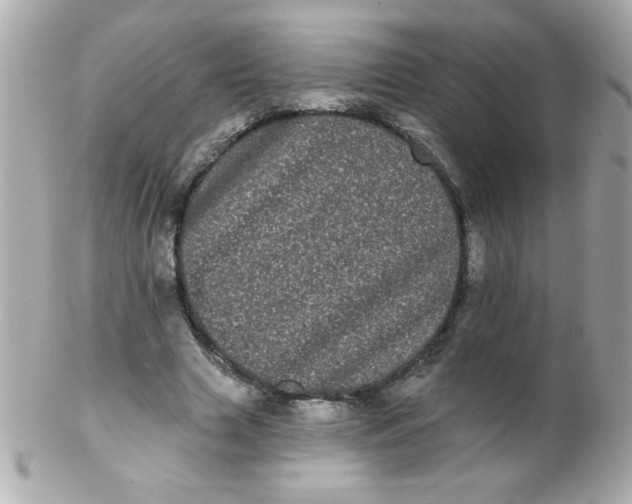 X0000102290633200808151954