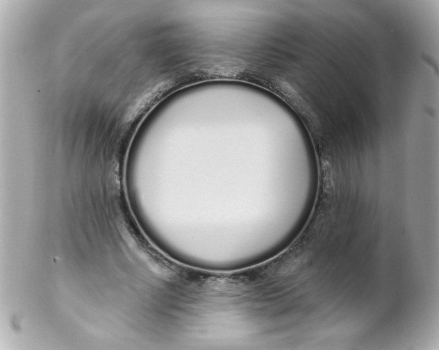 X0000102290634200808151954