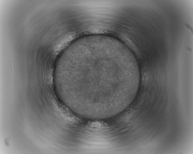 X0000102290635200808151954