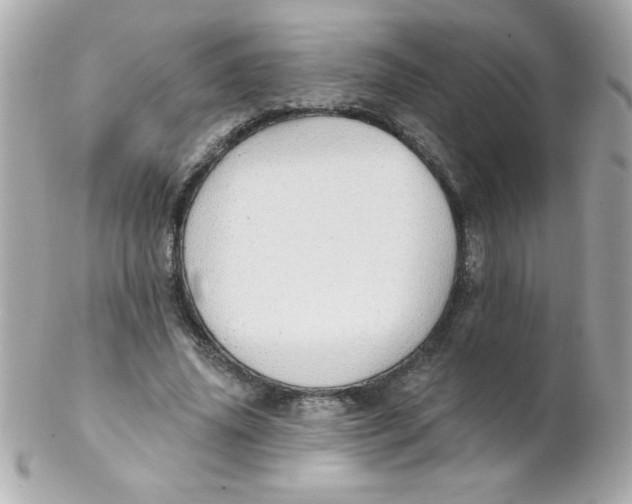 X0000102290636200808151954