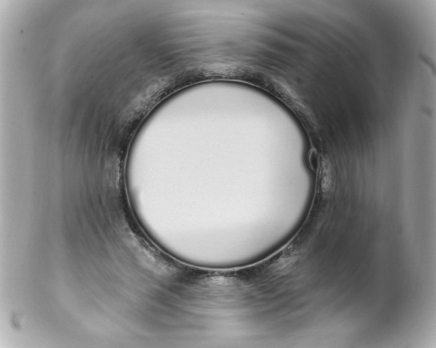 X0000102290637200808151954