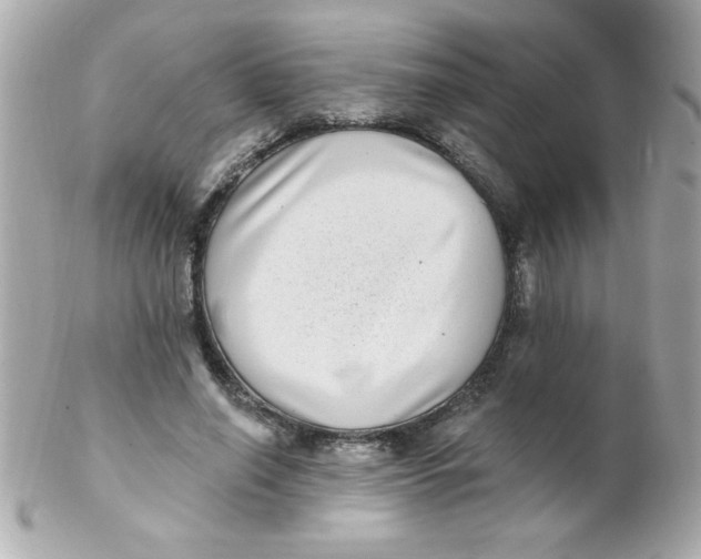 X0000102290638200808151954