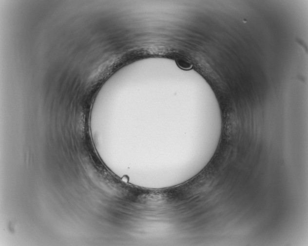 X0000102290639200808151954