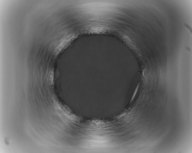 X0000102290640200808151954