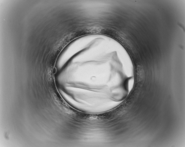 X0000102290641200808151954