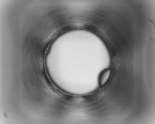 X0000102290642200808151954