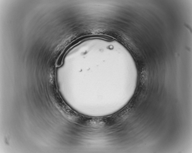 X0000102290644200808151954