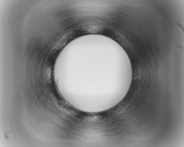 X0000102290646200808151954