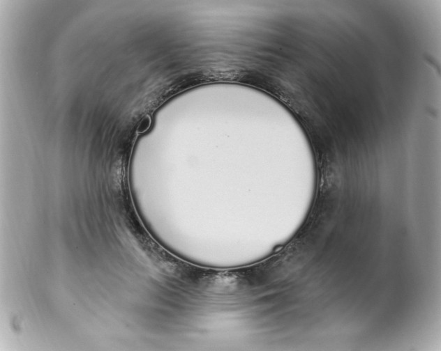 X0000102290647200808151954