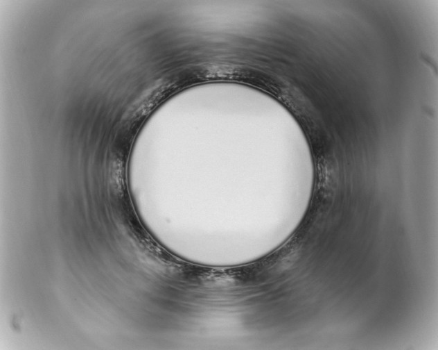 X0000102290648200808151954