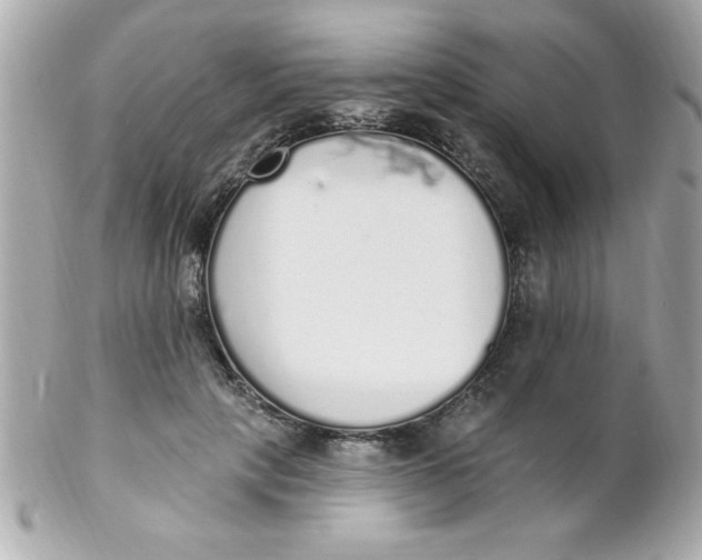 X0000102290649200808151954