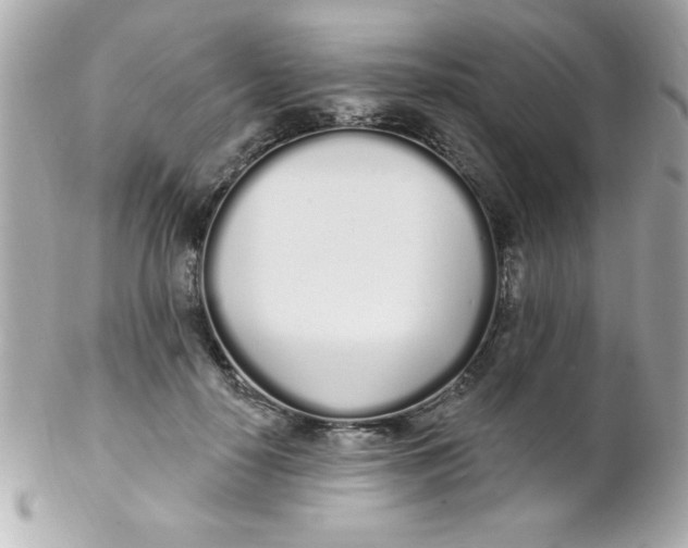 X0000102290650200808151954