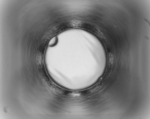 X0000102290651200808151954