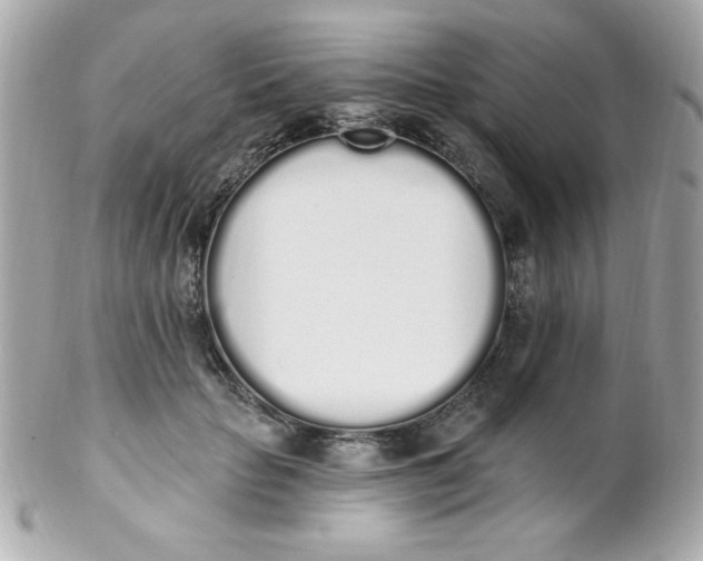 X0000102290653200808151954