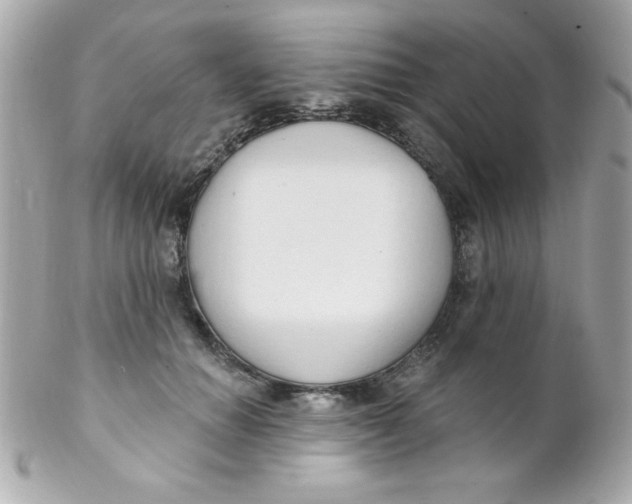 X0000102290654200808151954