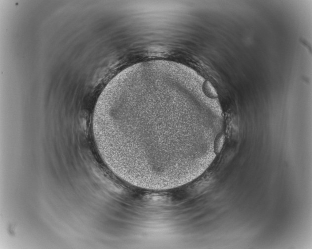 X0000102290655200808151954