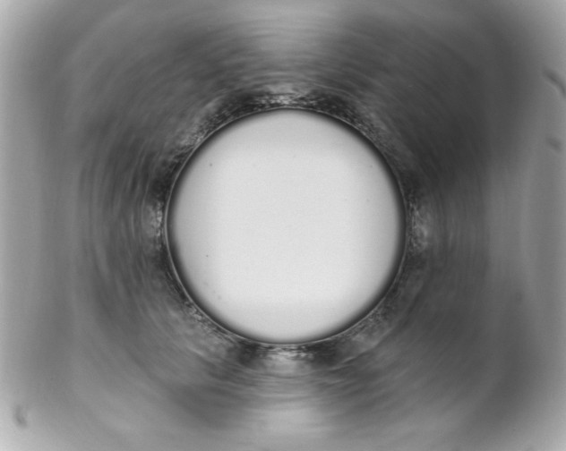 X0000102290657200808151954