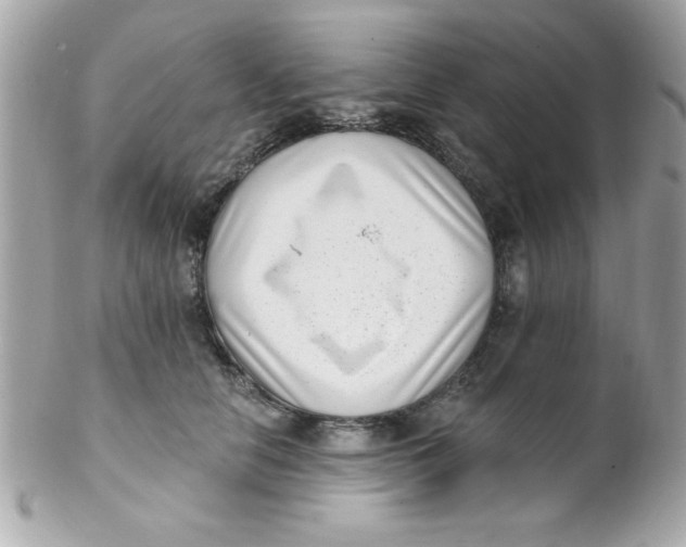 X0000102290658200808151954