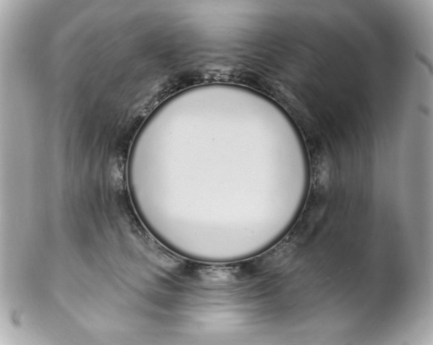 X0000102290661200808151954