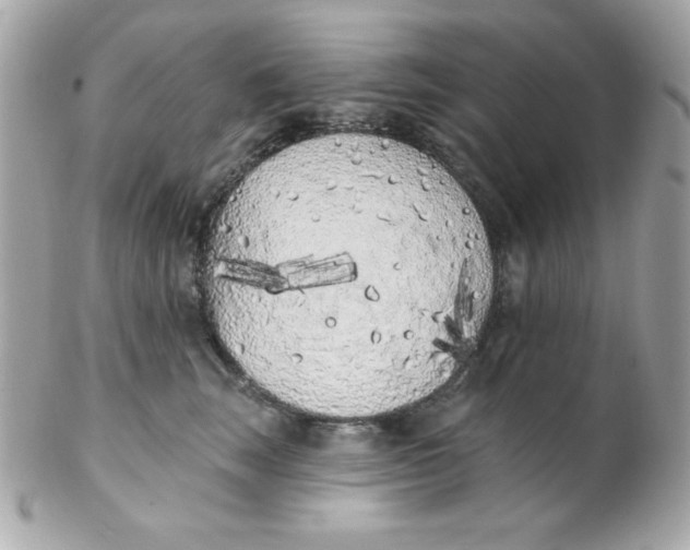 X0000102290663200808151954