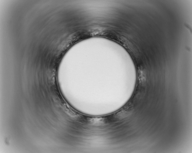 X0000102290664200808151954