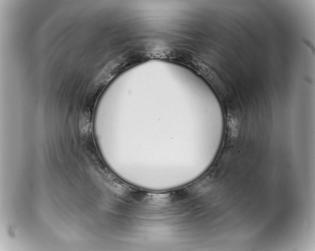 X0000102290665200808151954