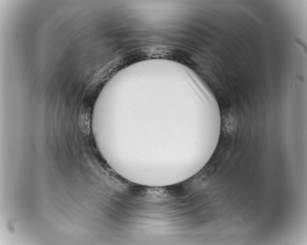 X0000102290666200808151954