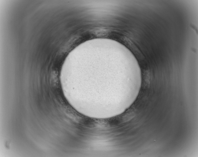 X0000102290667200808151954