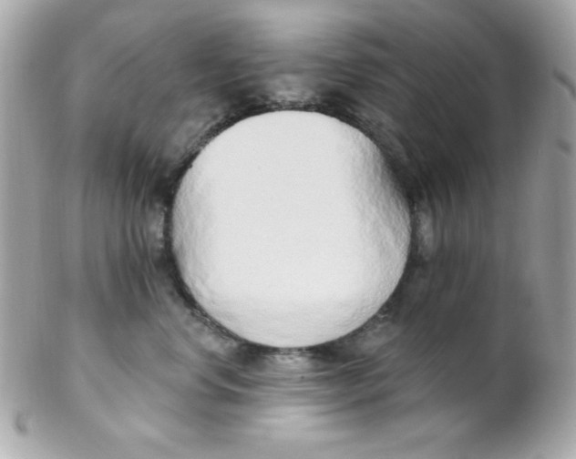 X0000102290668200808151954