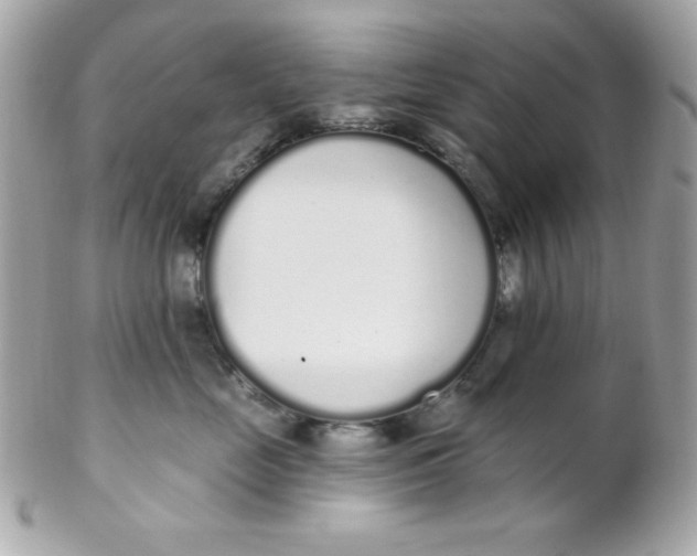 X0000102290669200808151954