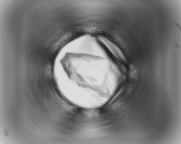 X0000102290670200808151954