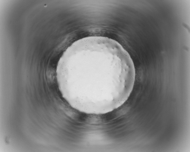 X0000102290671200808151955