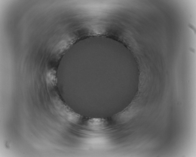 X0000102290672200808151955