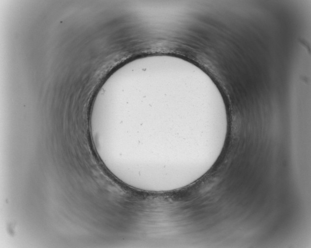 X0000102290673200808151954