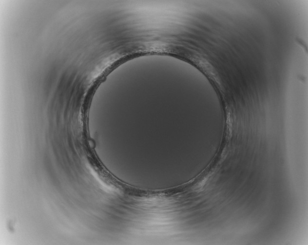 X0000102290674200808151954