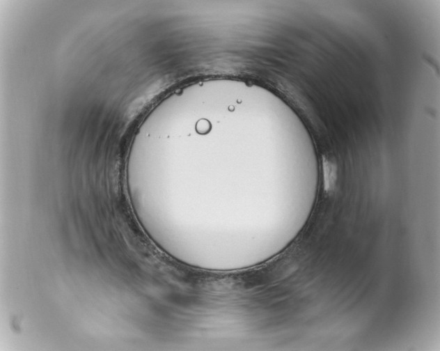 X0000102290675200808151954