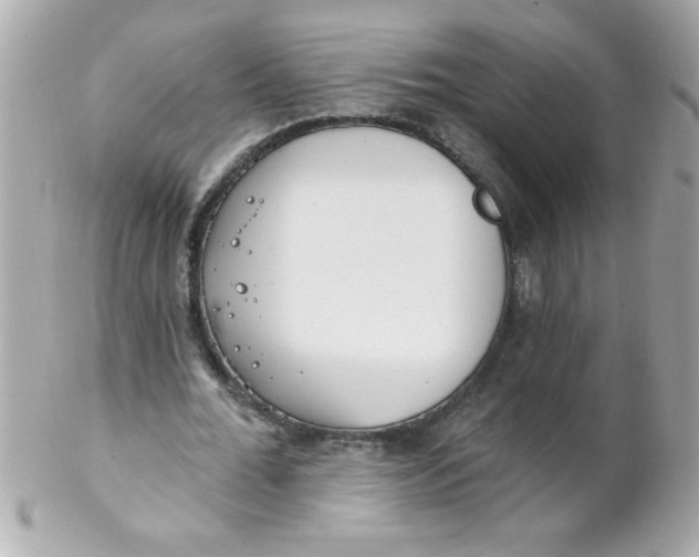 X0000102290676200808151954