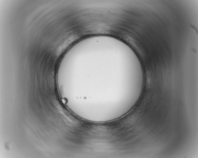 X0000102290677200808151954