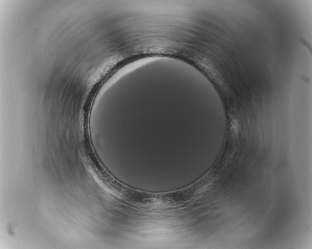 X0000102290678200808151954