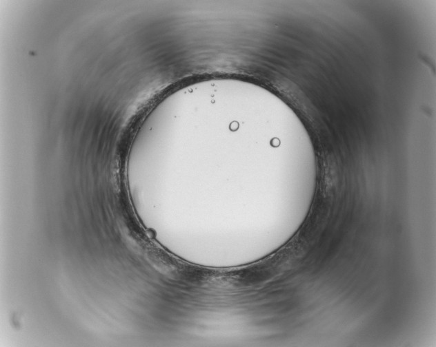 X0000102290680200808151954