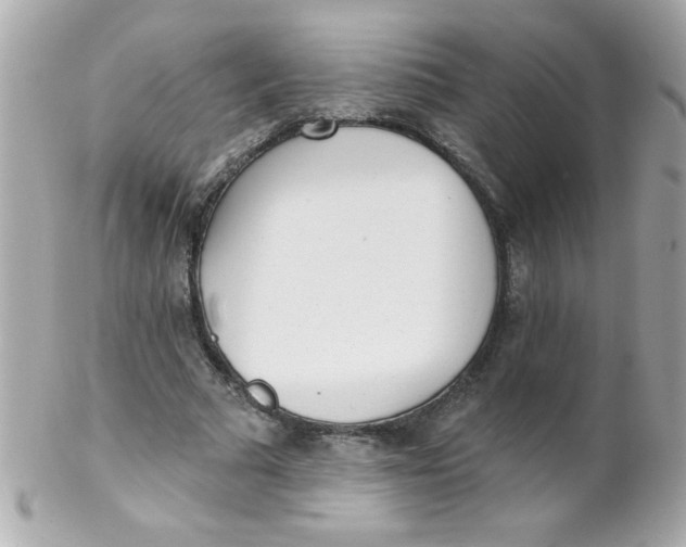 X0000102290681200808151954