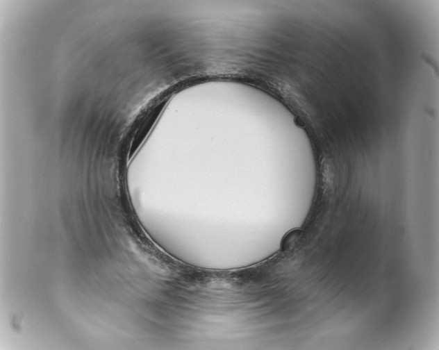 X0000102290684200808151954