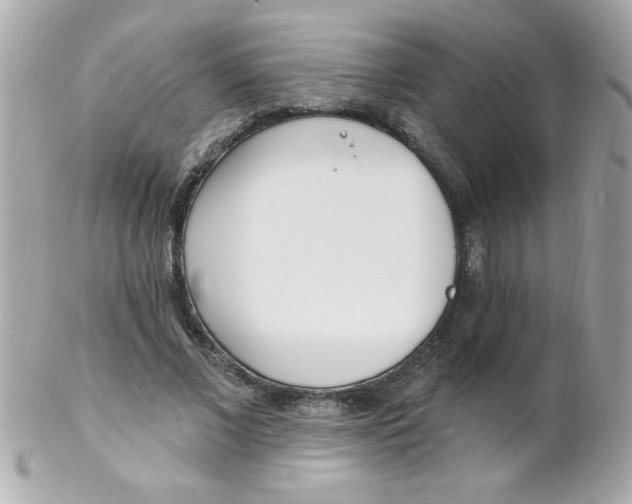 X0000102290685200808151954