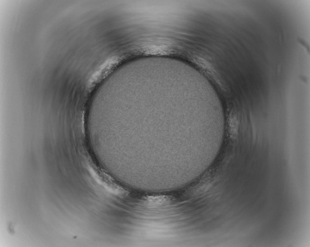 X0000102290686200808151954