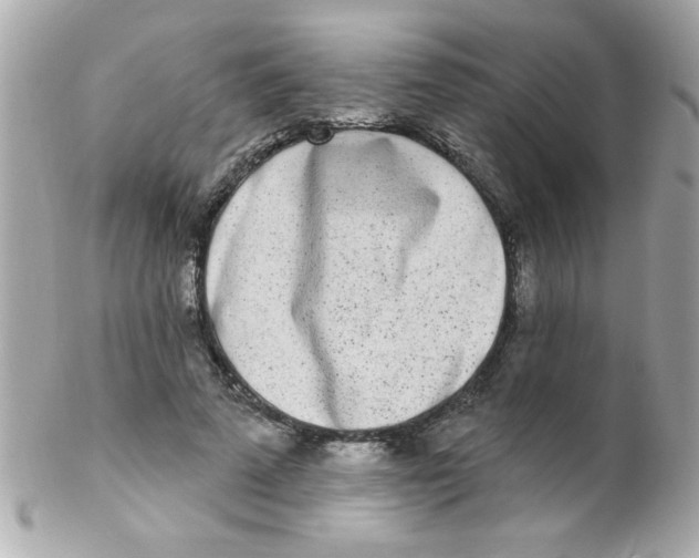 X0000102290689200808151953