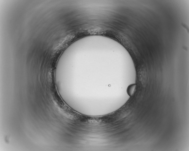 X0000102290690200808151953