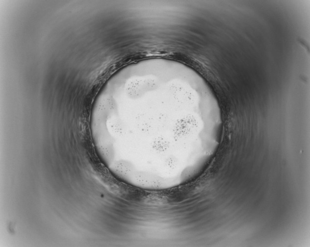 X0000102290691200808151953