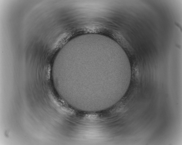 X0000102290694200808151953